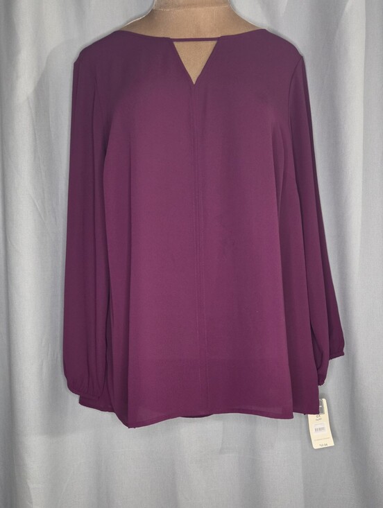 Terra & Sky Tops - Terra & Sky XL 0X Plum Long Sleeve V-Neck Blouse